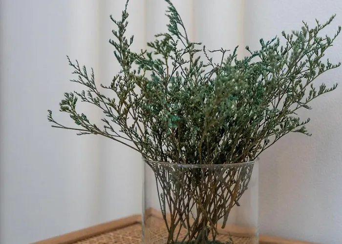 Beco Do Sol, 阿尔布费拉